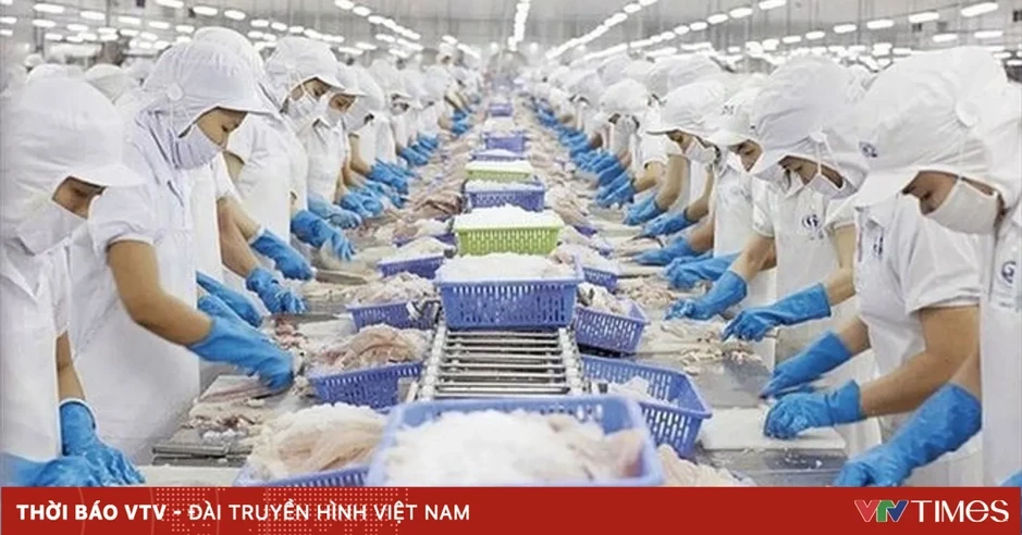 Thủy sản Việt Nam trước cơ hội vượt mốc 12 tỷ USD xuất khẩu Thủy sản Việt Nam trước cơ hội vượt mốc 12 tỷ USD xuất khẩu