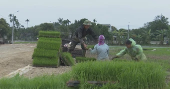 Tích hợp kế hoạch phát triển kinh tế tập thể và nhân rộng mô hình hợp tác xã hiệu quả giai đoạn 2026-2030