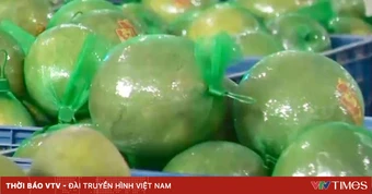 Tiềm năng xuất khẩu chanh, bưởi sang Trung Quốc