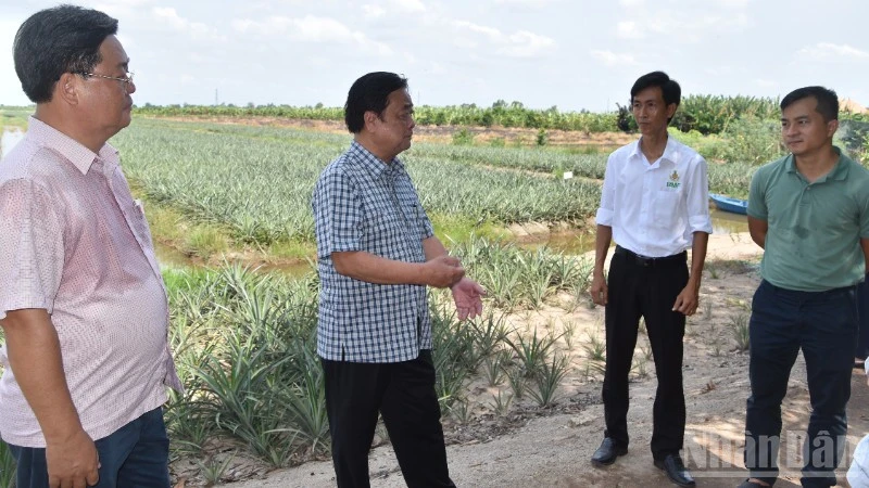 Tiếng nói chung trong mô hình cà-phê khóm Tiếng nói chung trong mô hình cà-phê khóm