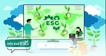 Tiêu chuẩn S trong ESG: Doanh nghiệp dệt may và nông sản cần làm gì?