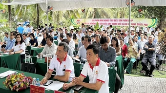 Tìm giải pháp thúc đẩy phong trào sản xuất, kinh doanh trong nông dân