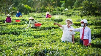 Tín dụng xanh khó đến doanh nghiệp nhỏ nếu thiếu hệ sinh thái hỗ trợ