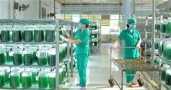 Toàn tỉnh Nghệ An đang có 588 sản phẩm OCOP
