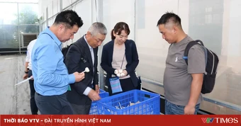 Tỏi Sanuki Nhật Bản mở hướng sinh kế mới ở Nghệ An
