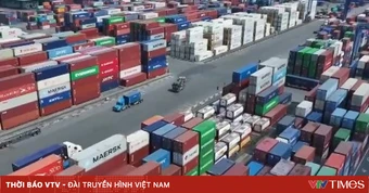 TP Hồ Chí Minh miễn phí hạ tầng cảng biển 3 năm để tiếp sức cho doanh nghiệp