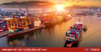 TP. Hồ Chí Minh miễn phí hạ tầng cảng biển cho doanh nghiệp
