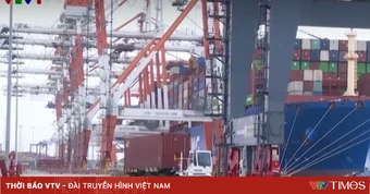 TP Hồ Chí Minh nghiên cứu lộ trình di dời cảng biển khỏi trung tâm