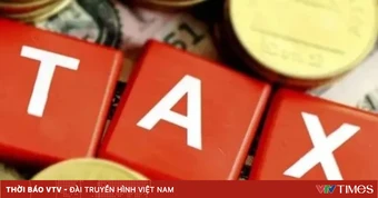 TP Hồ Chí Minh rà soát, truy thu thuế nhiều ngành, nghề