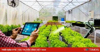 TP. Hồ Chí Minh: Tạm thời chưa giải quyết xây dựng công trình trên đất nông nghiệp