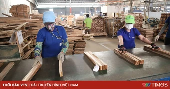 TP Hồ Chí Minh: Tín dụng hỗ trợ doanh nghiệp tăng hơn 14%, gỡ nút thắt tiếp cận vốn