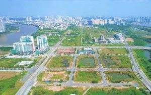 TP Hồ Chí Minh triển khai cao điểm 60 ngày bổ sung dữ liệu đất đai