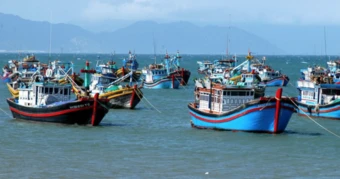 TP.HCM chuẩn bị sẵn sàng đón Đoàn thanh tra thẻ vàng IUU
