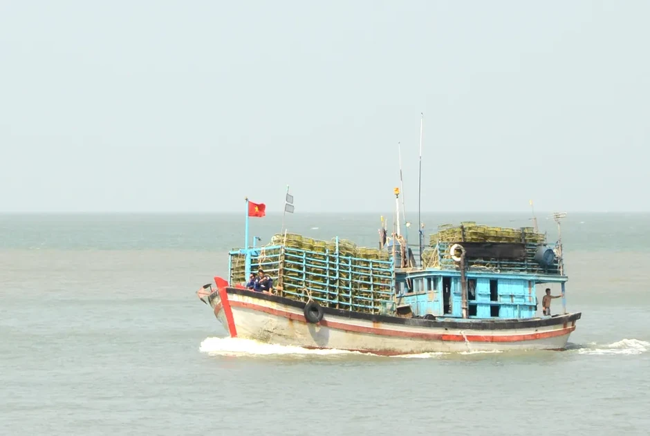 TPHCM hoàn tất cập nhật dữ liệu 4.427 tàu cá vào hệ thống quốc gia TPHCM hoàn tất cập nhật dữ liệu 4.427 tàu cá vào hệ thống quốc gia