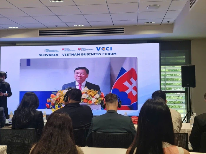 TPHCM mời doanh nghiệp Slovakia đồng hành xây dựng Trung tâm tài chính quốc tế