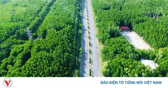 TP.HCM xem xét nâng cấp đường Rừng Sác bằng PPP, tạo trục kết nối liên hoàn