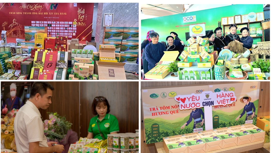 Trà Hương Quê: Hành trình “đánh thức” thương hiệu OCOP từ đất chè Thái Nguyên Trà Hương Quê: Hành trình “đánh thức” thương hiệu OCOP từ đất chè Thái Nguyên
