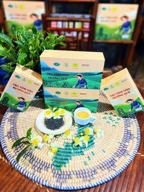 Trà Hương Quê: Hành trình “đánh thức” thương hiệu OCOP từ đất chè Thái Nguyên Trà Hương Quê: Hành trình “đánh thức” thương hiệu OCOP từ đất chè Thái Nguyên