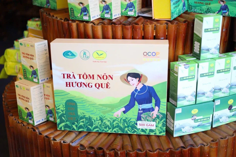 Trà Hương Quê: Hành trình “đánh thức” thương hiệu OCOP từ đất chè Thái Nguyên Trà Hương Quê: Hành trình “đánh thức” thương hiệu OCOP từ đất chè Thái Nguyên