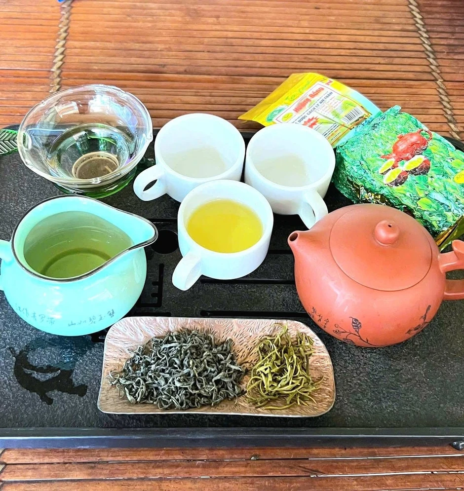 Trà Hương Quê: Hành trình “đánh thức” thương hiệu OCOP từ đất chè Thái Nguyên Trà Hương Quê: Hành trình “đánh thức” thương hiệu OCOP từ đất chè Thái Nguyên
