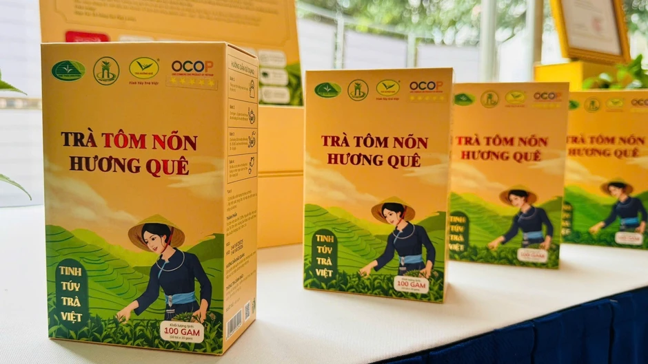 Trà Hương Quê: Hành trình “đánh thức” thương hiệu OCOP từ đất chè Thái Nguyên Trà Hương Quê: Hành trình “đánh thức” thương hiệu OCOP từ đất chè Thái Nguyên