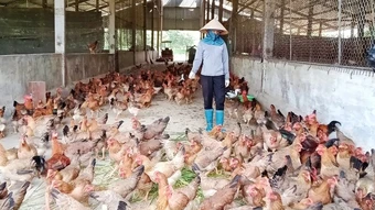 Trang trại sản xuất hữu cơ, tuần hoàn ở Thái Nguyên