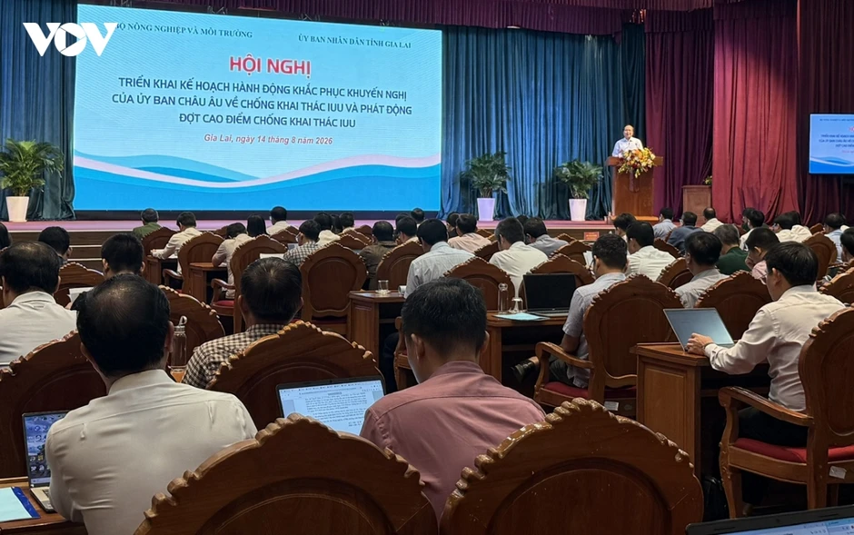 Triển khai tháng cao điểm toàn quốc chống khai thác IUU trên tinh thần “6 rõ” Triển khai tháng cao điểm toàn quốc chống khai thác IUU trên tinh thần “6 rõ”