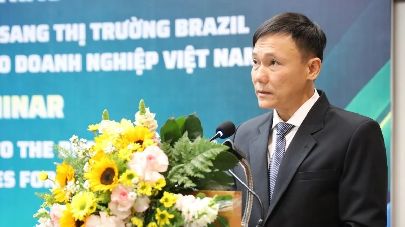 Triển vọng xuất khẩu sang thị trường Brazil cho doanh nghiệp Việt Nam