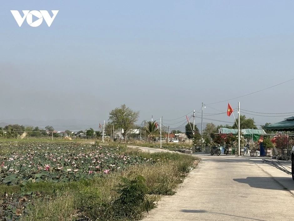Trồng sen kết hợp làm du lịch sẽ tạo lợi nhuận kép cho nông dân