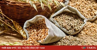 Trung Quốc mua thêm 17 tỷ USD nông sản Mỹ mỗi năm