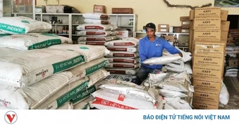 Trung Quốc siết chặt xuất khẩu phân bón, gây thêm sức ép nguồn cung toàn cầu