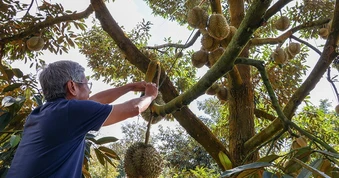Trung Quốc, thị trường tiêu thụ lớn của Việt Nam