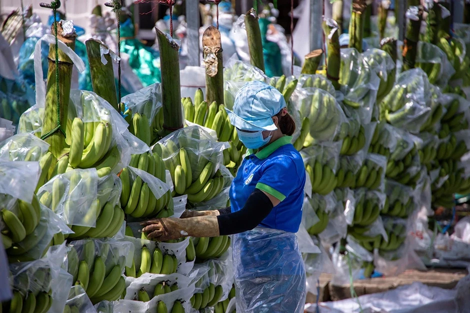 Trung Quốc, thị trường tiêu thụ lớn của Việt Nam Trung Quốc, thị trường tiêu thụ lớn của Việt Nam