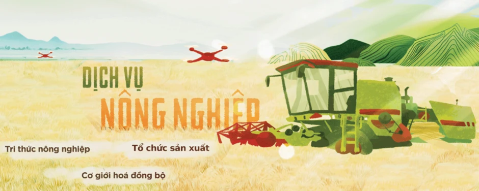 Trượt dốc của Lộc Trời: Từ ông lớn lợi nhuận hàng trăm tỷ đến áp lực sống còn Trượt dốc của Lộc Trời: Từ ông lớn lợi nhuận hàng trăm tỷ đến áp lực sống còn