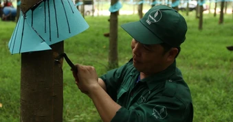 Từ 'Bàn tay vàng' đến Bằng khen của Thủ tướng
