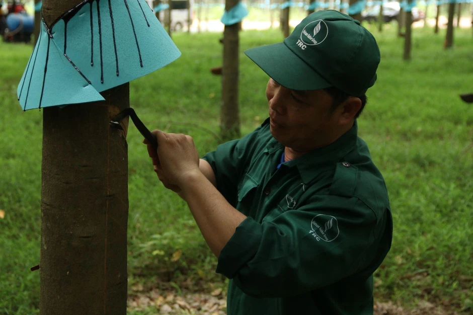 Từ 'Bàn tay vàng' đến Bằng khen của Thủ tướng Từ 'Bàn tay vàng' đến Bằng khen của Thủ tướng