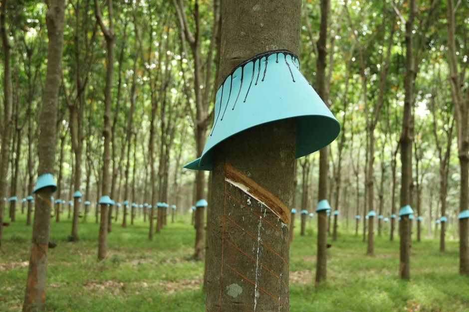 Từ 'Bàn tay vàng' đến Bằng khen của Thủ tướng Từ 'Bàn tay vàng' đến Bằng khen của Thủ tướng