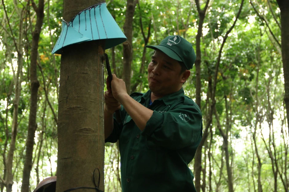 Từ 'Bàn tay vàng' đến Bằng khen của Thủ tướng Từ 'Bàn tay vàng' đến Bằng khen của Thủ tướng
