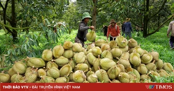 Từ “cấp mã số” đến giữ uy tín nông sản Việt