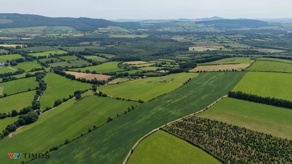 Từ đồng cỏ 5 thế hệ Ireland đến bàn ăn Việt: Sức hút của những giọt sữa “thuần tự nhiên” Từ đồng cỏ 5 thế hệ Ireland đến bàn ăn Việt: Sức hút của những giọt sữa “thuần tự nhiên”