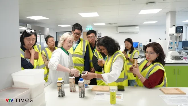 Từ đồng cỏ 5 thế hệ Ireland đến bàn ăn Việt: Sức hút của những giọt sữa “thuần tự nhiên” Từ đồng cỏ 5 thế hệ Ireland đến bàn ăn Việt: Sức hút của những giọt sữa “thuần tự nhiên”