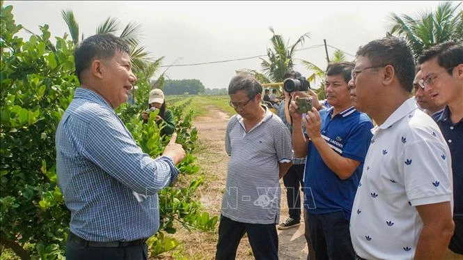 Từ lao động 'tay chân' đến 'tri thức' trên đồng ruộng Từ lao động 'tay chân' đến 'tri thức' trên đồng ruộng