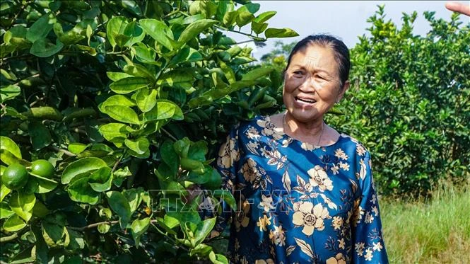 Từ lao động 'tay chân' đến 'tri thức' trên đồng ruộng Từ lao động 'tay chân' đến 'tri thức' trên đồng ruộng