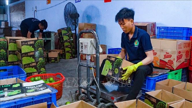 Từ lao động 'tay chân' đến 'tri thức' trên đồng ruộng Từ lao động 'tay chân' đến 'tri thức' trên đồng ruộng