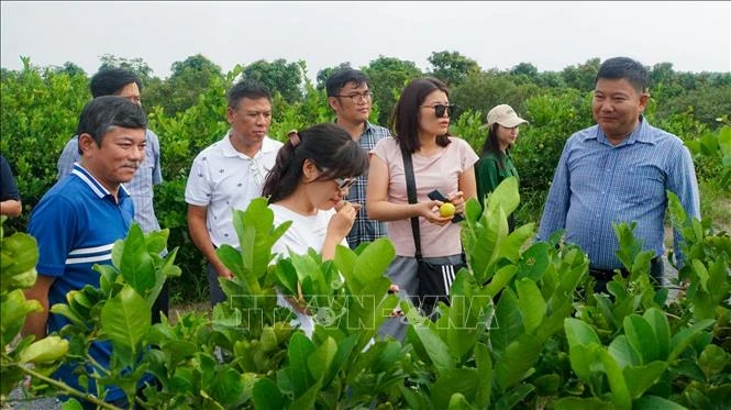 Từ lao động 'tay chân' đến 'tri thức' trên đồng ruộng Từ lao động 'tay chân' đến 'tri thức' trên đồng ruộng