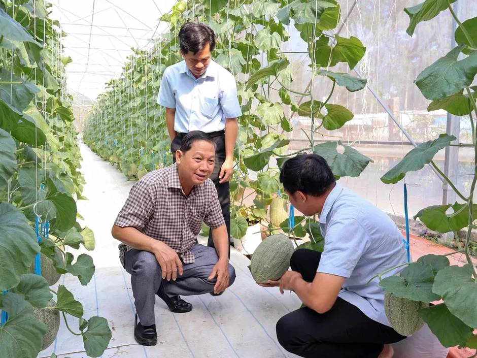 Từ mô hình dưa lưới công nghệ cao nhìn ra hướng phát triển nông nghiệp mới ở xã Trừ Văn Thố Từ mô hình dưa lưới công nghệ cao nhìn ra hướng phát triển nông nghiệp mới ở xã Trừ Văn Thố