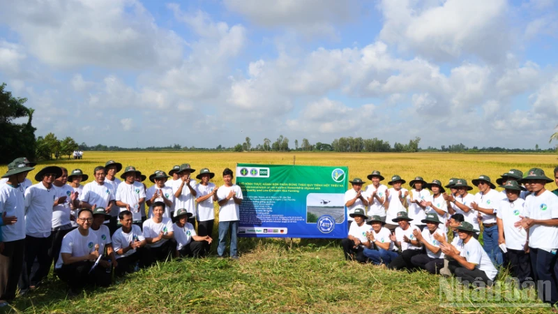 Từ mô hình thí điểm đến vùng nguyên liệu sản xuất lúa chất lượng cao, phát thải thấp