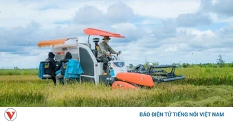 Từ “rốn hạn” đến cánh đồng công nghệ cao: Nông dân Đắk Lắk nâng tầm hạt gạo