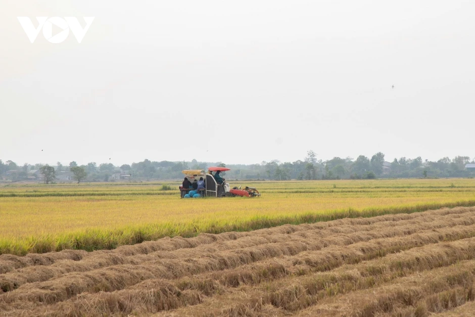 Từ “rốn hạn” đến cánh đồng công nghệ cao: Nông dân Đắk Lắk nâng tầm hạt gạo Từ “rốn hạn” đến cánh đồng công nghệ cao: Nông dân Đắk Lắk nâng tầm hạt gạo