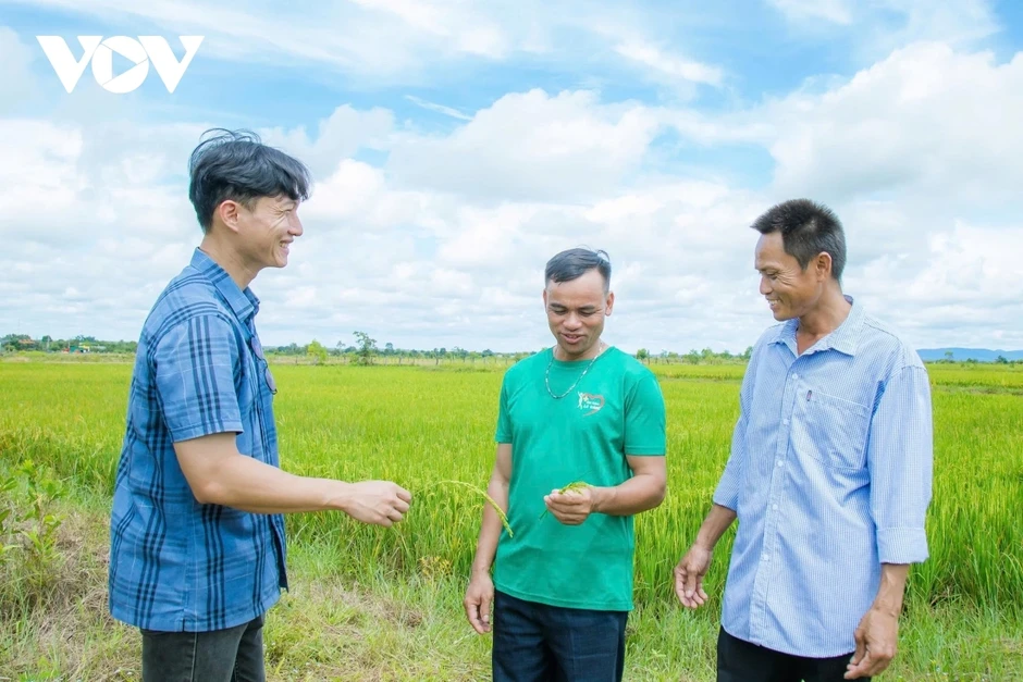 Từ “rốn hạn” đến cánh đồng công nghệ cao: Nông dân Đắk Lắk nâng tầm hạt gạo Từ “rốn hạn” đến cánh đồng công nghệ cao: Nông dân Đắk Lắk nâng tầm hạt gạo